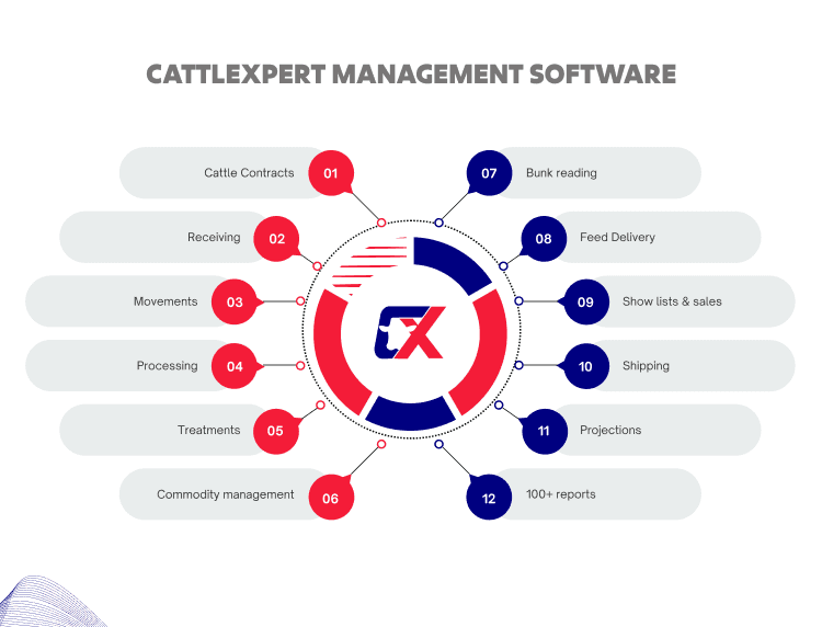CattleXpert Image