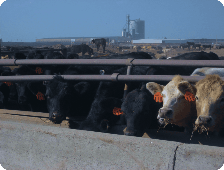 Integrations & Interoperability Image