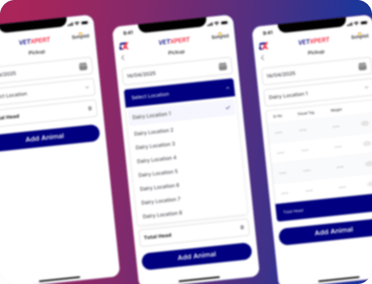 Migration & Modernization Image