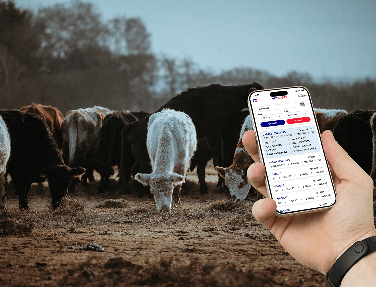 Custom Development & Mobile Apps Image