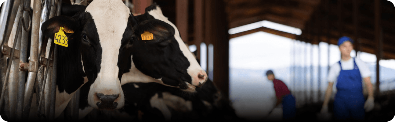 AgTech Startups Image Png