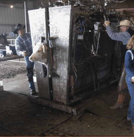 Pen Movement & Tracking Image